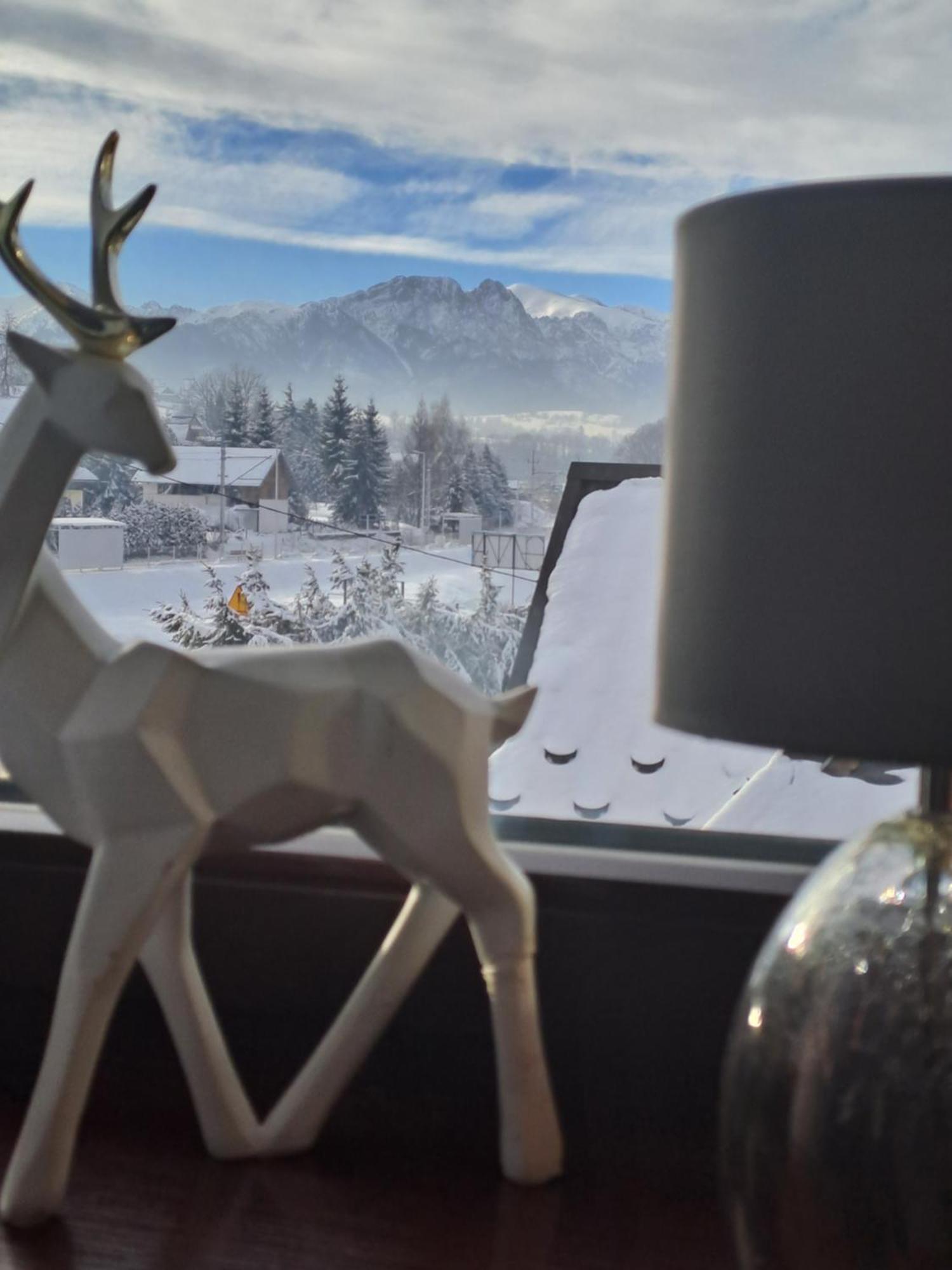 Pokoje Goscinne U Paliderki Poronin Exteriör bild